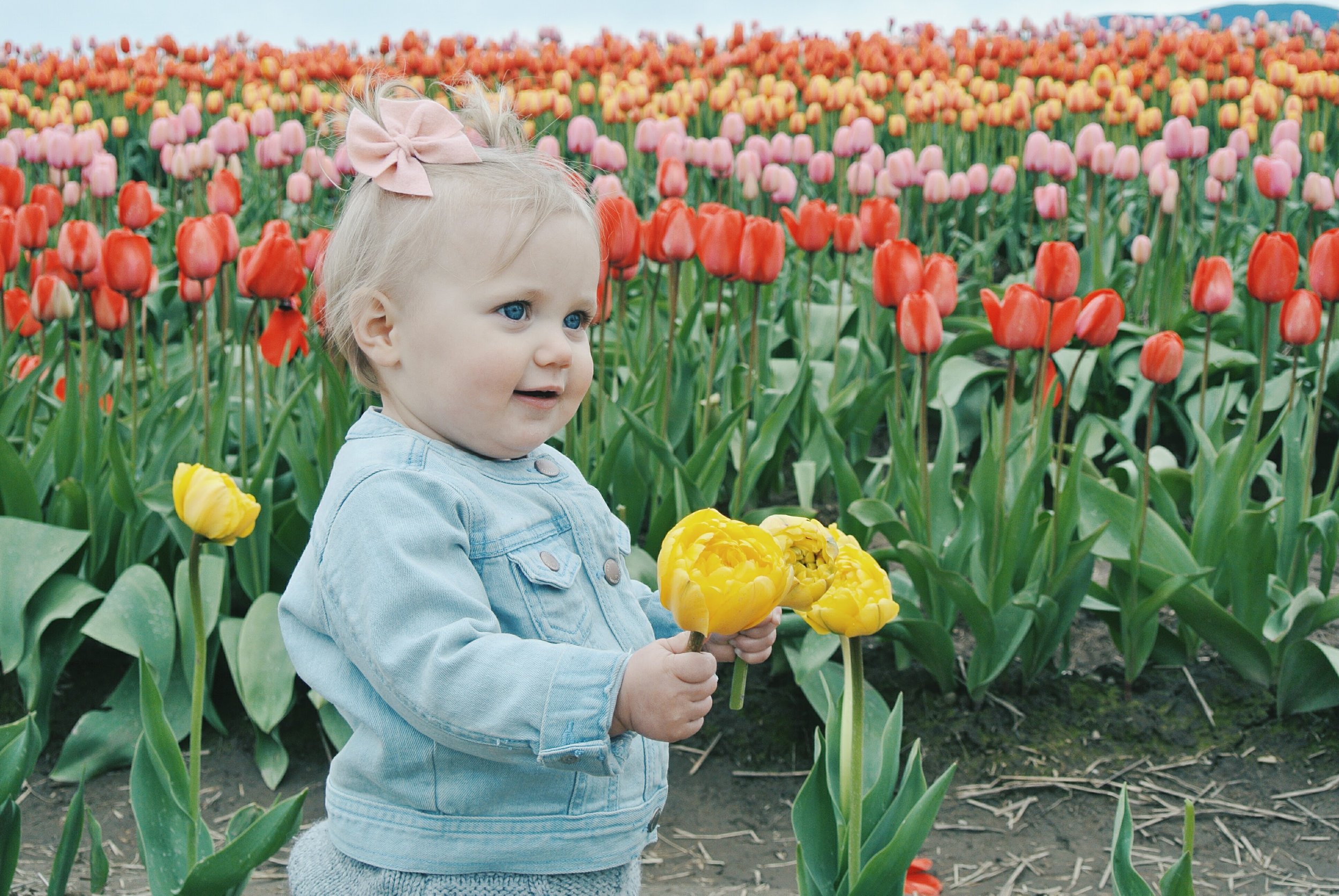 2017-04-24 03.20.58 1.jpg