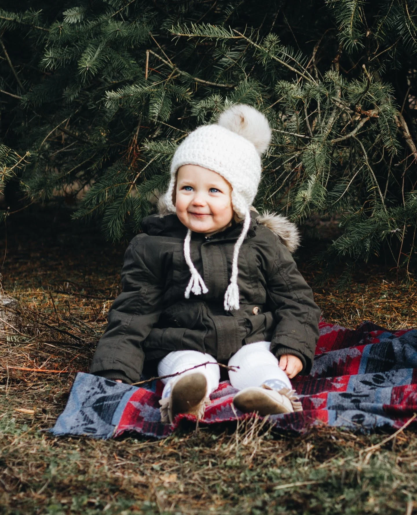 Family Photos At Fernridge Christmas Tree Forest — Habitat Schoolhouse