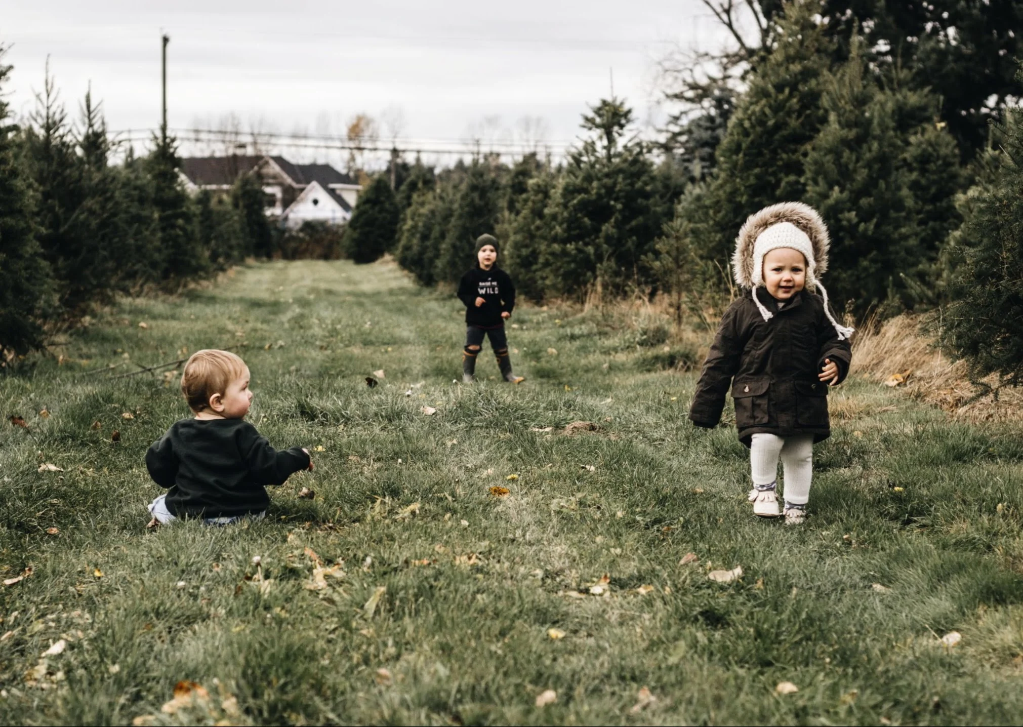 Family Photos At Fernridge Christmas Tree Forest — Habitat Schoolhouse