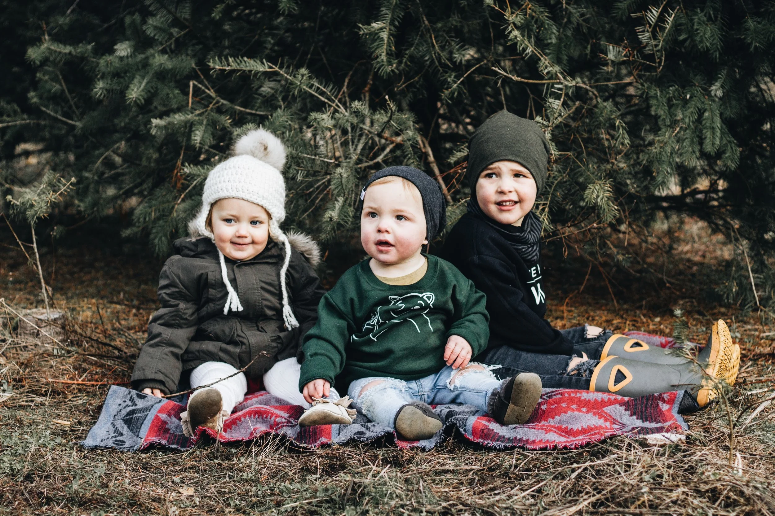 Family Photos At Fernridge Christmas Tree Forest — Habitat Schoolhouse