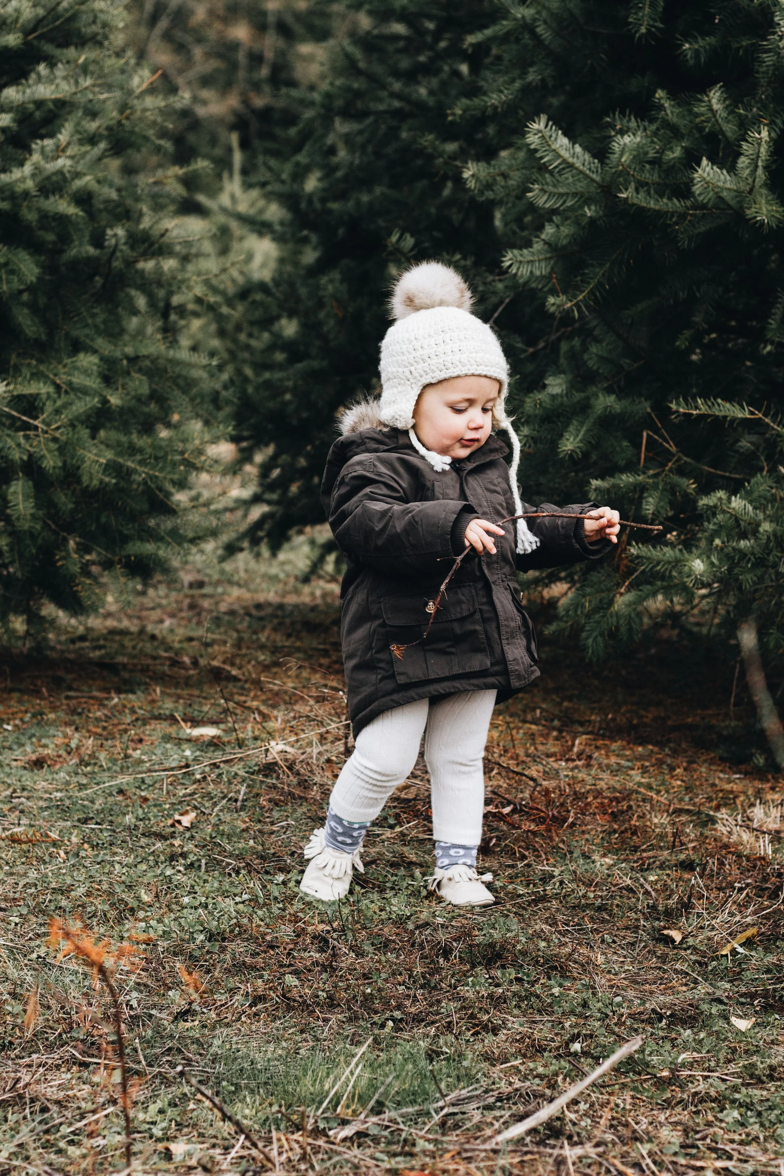 Family Photos At Fernridge Christmas Tree Forest — Habitat Schoolhouse