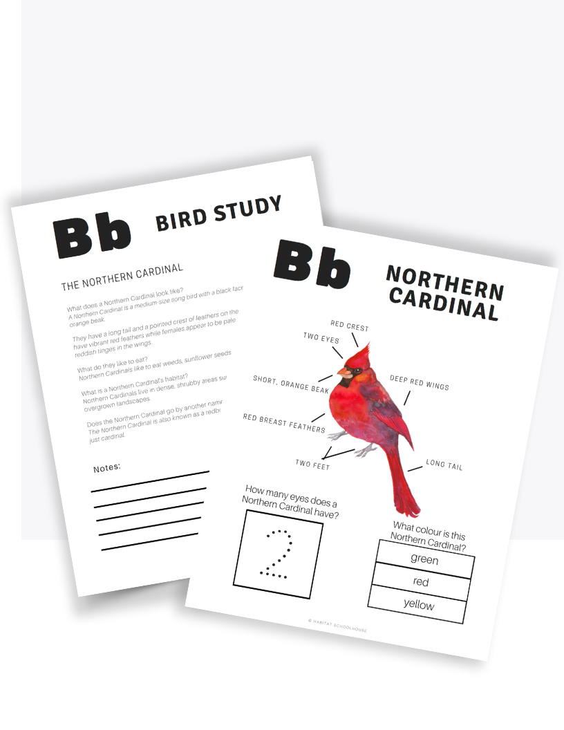 Copy of TL Resource Images-6.png