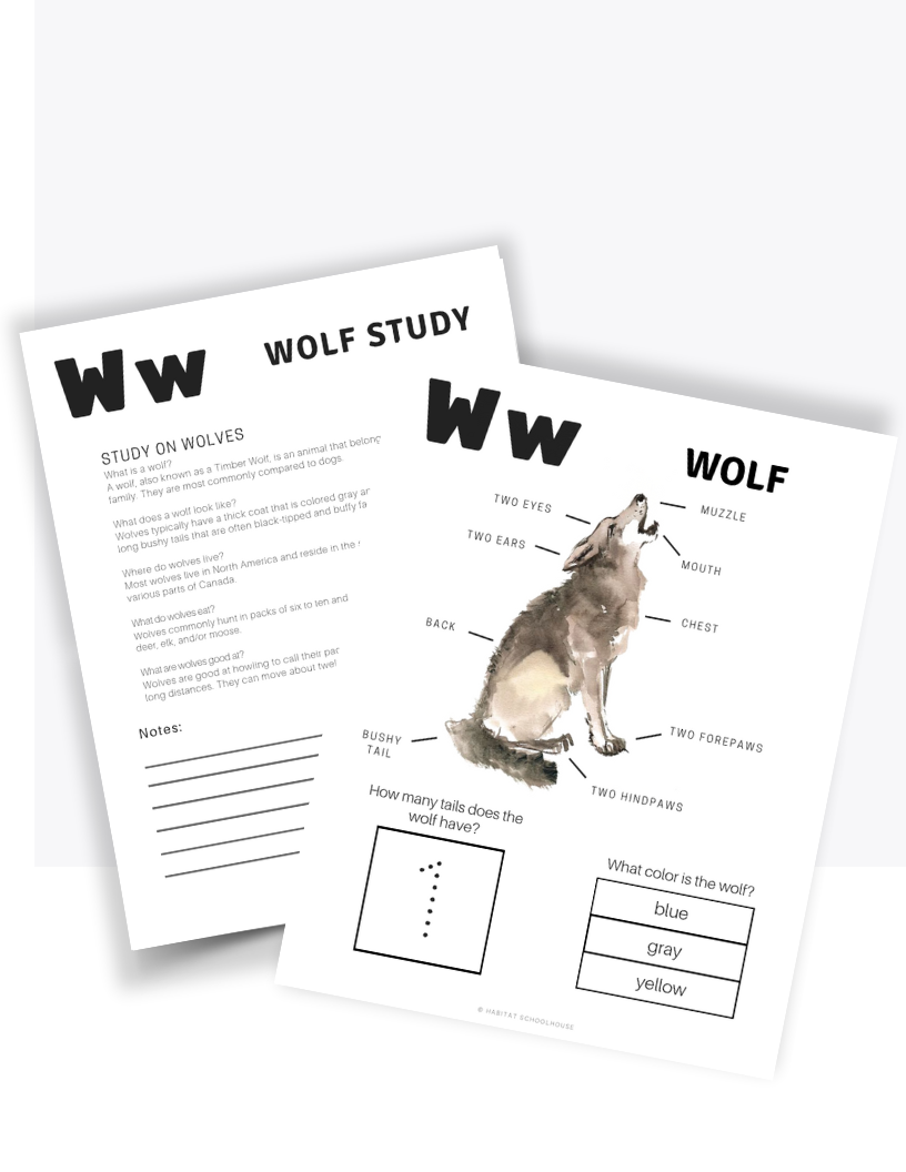 Copy of TL Resource Images-6.png