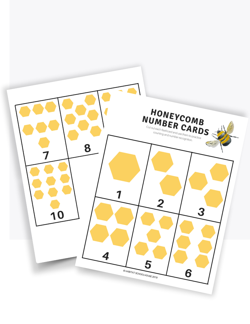 Copy of TL Resource Images-3.png