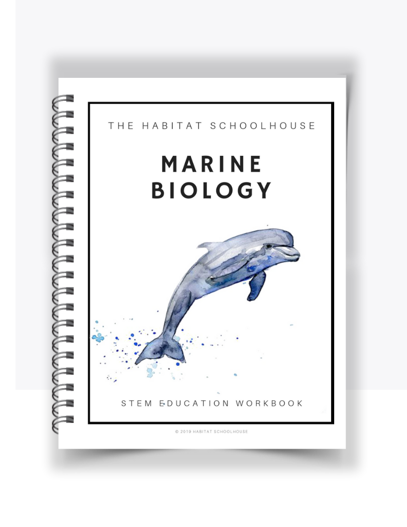 Marine Biology Workbook
