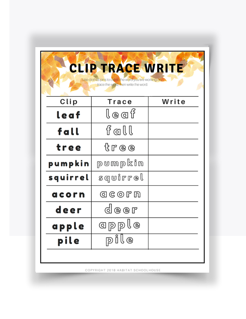 Clip Trace Write Summer.png