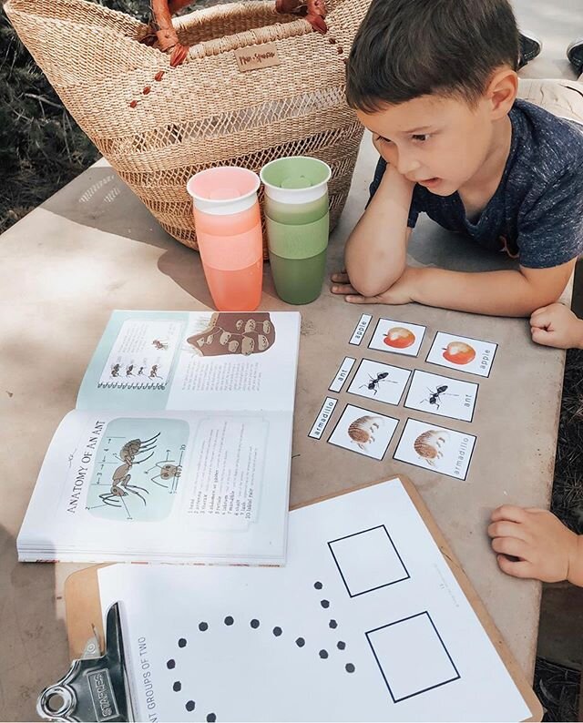 How has the current state of this pandemic affected your homeschool? Did you find yourself suddenly homeschooling without much of a plan? What support do you need to navigate home education? How are you coping with the sameness and limitations?⁣
⁣
Ma