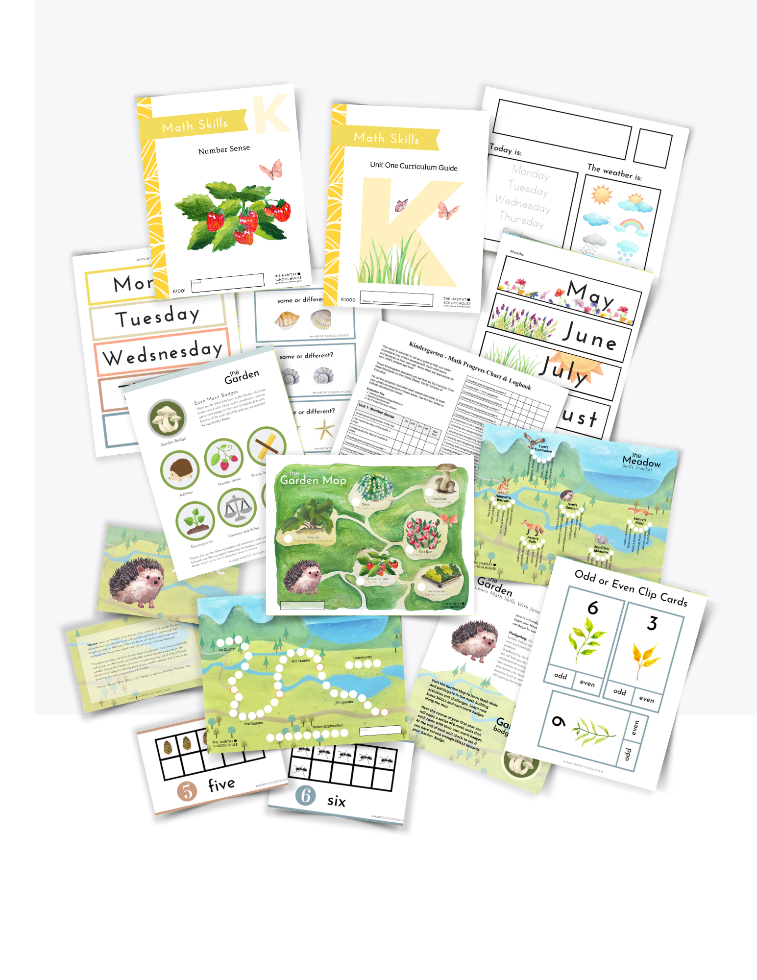 Copy of Curriculum Cover Pages.png