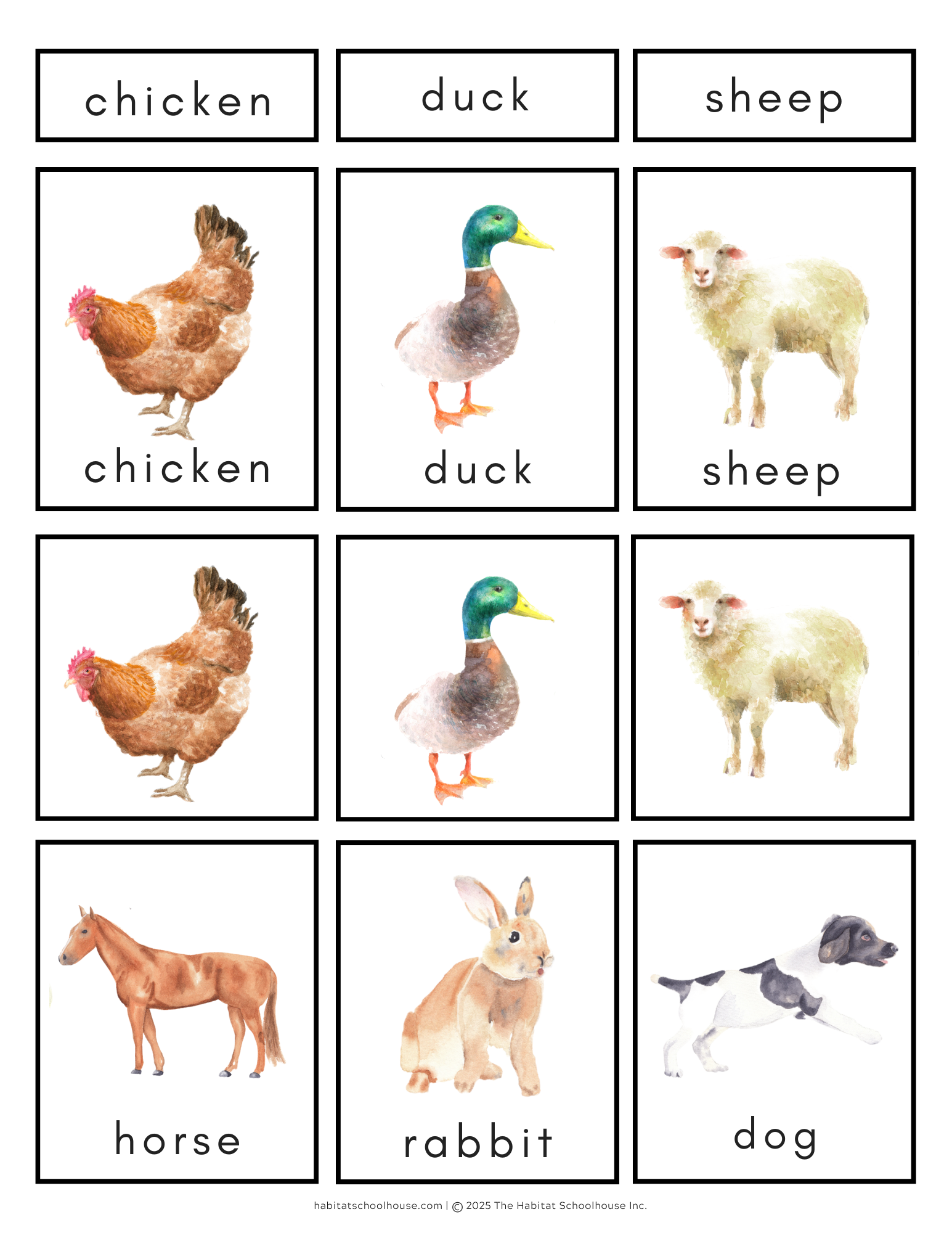 7.png