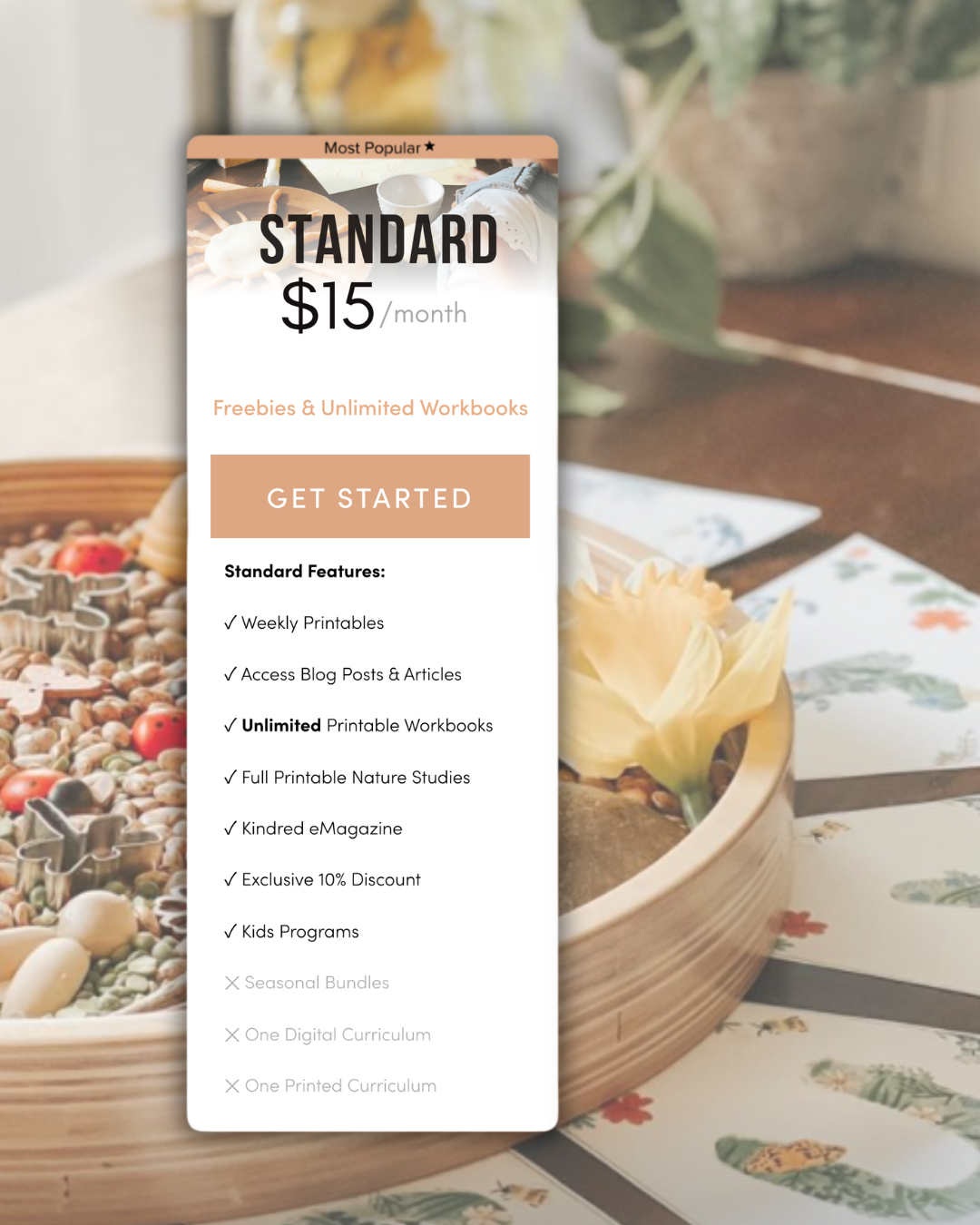 Monthly Education Resources for Families