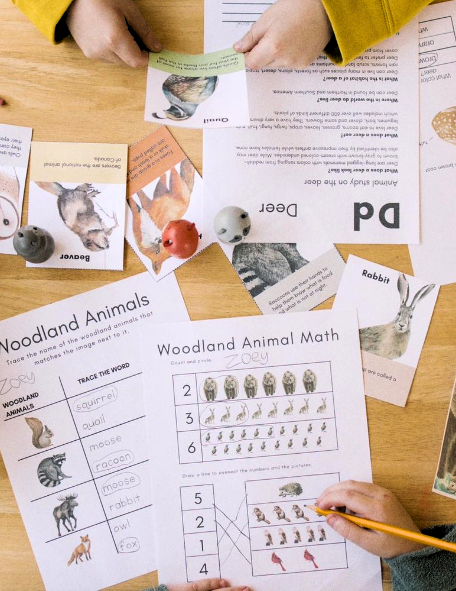 Workbook Cover Graphics (41).png