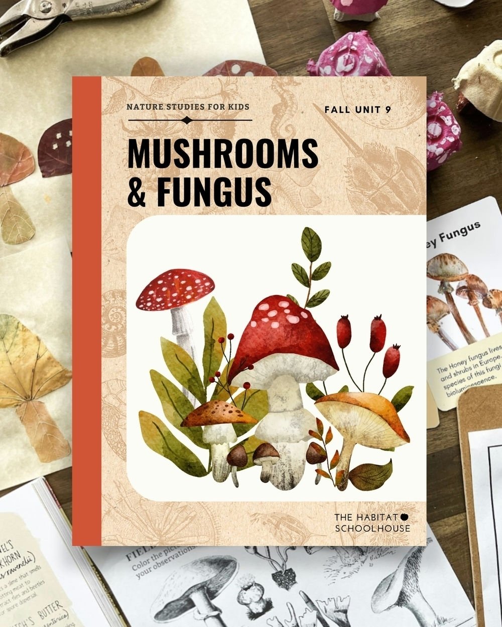 Mushrooms &amp; Fungus Week starts today! 🍄 
This unit study has been emailed out to all of our paid members! If you're not a member yet you can start today for free! Just head to the link in our bio! 

Our Nature Studies for Kids program includes: 