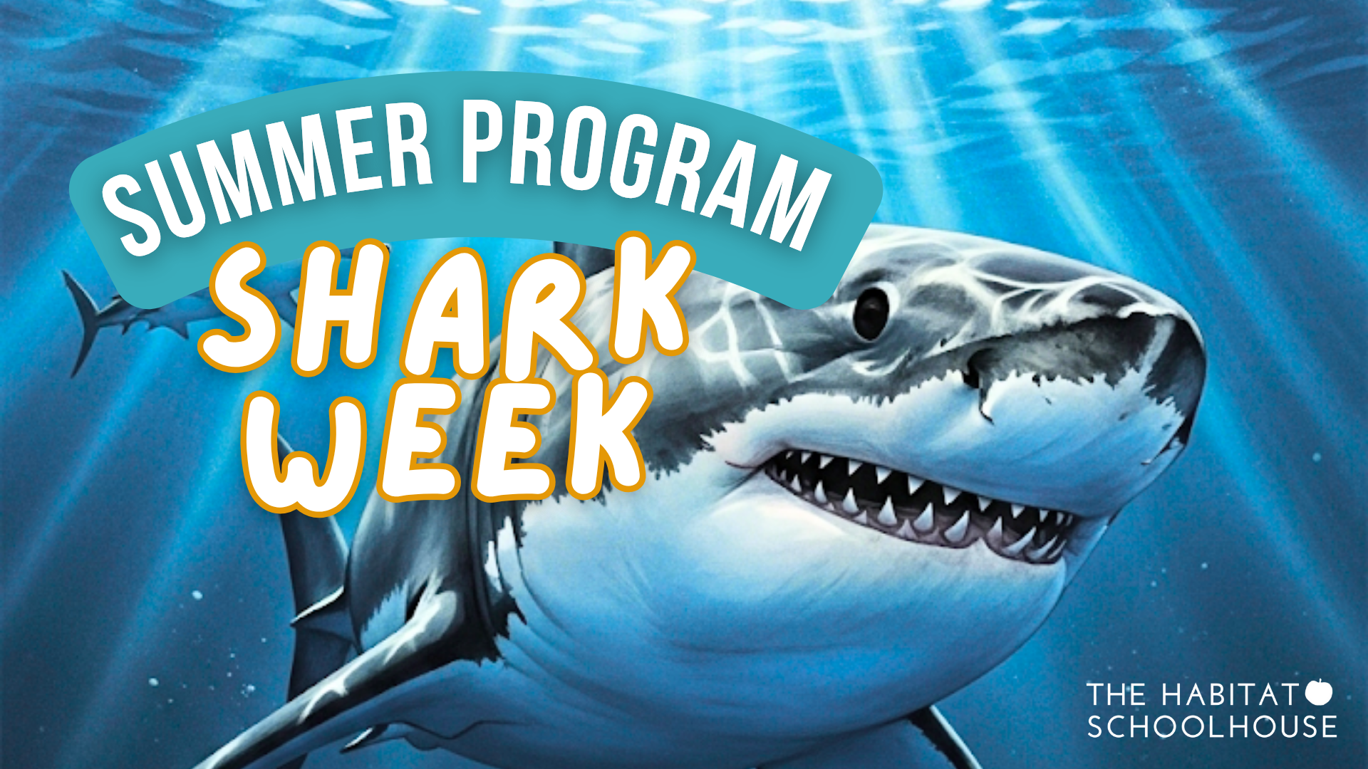 Shark Week