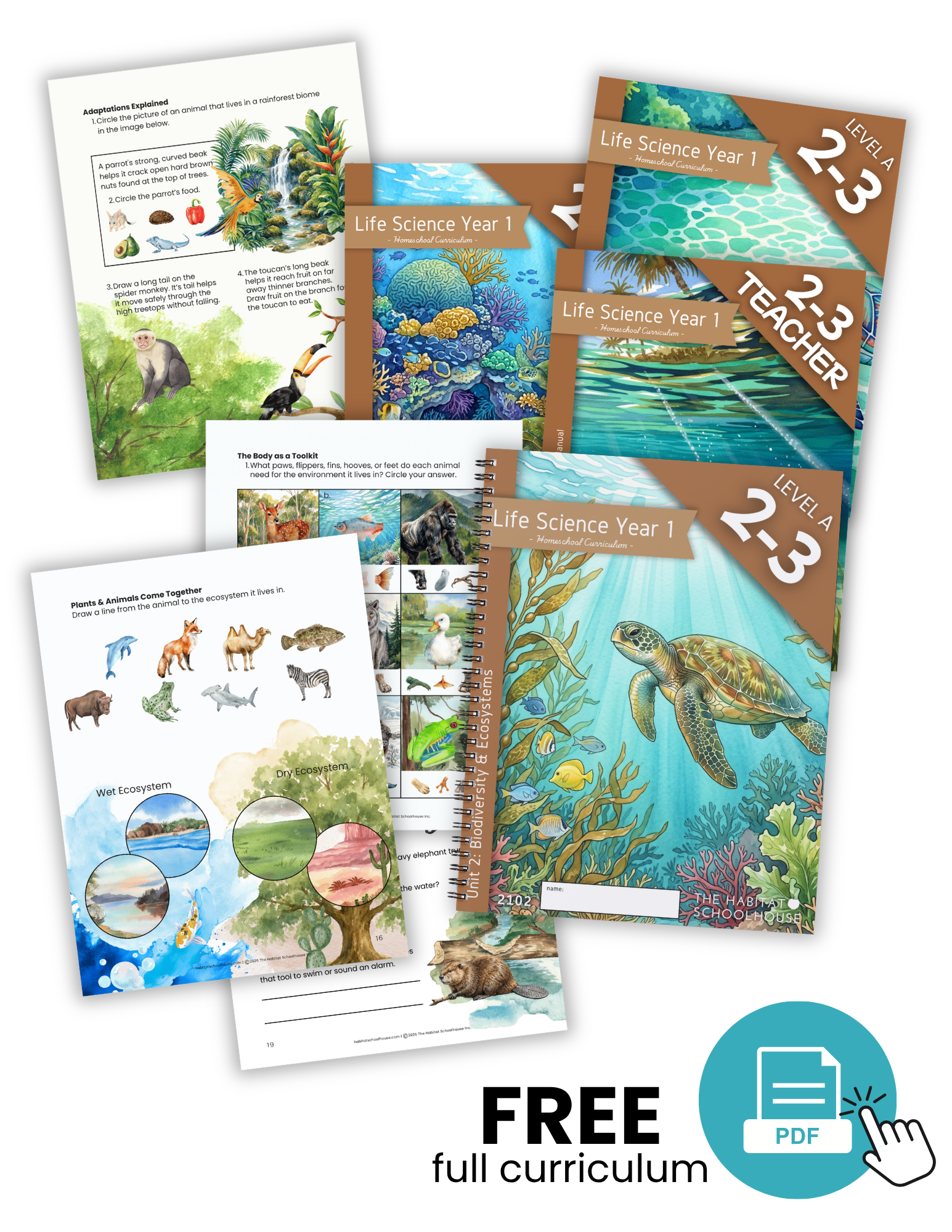 Membership Cover Graphics (1).png