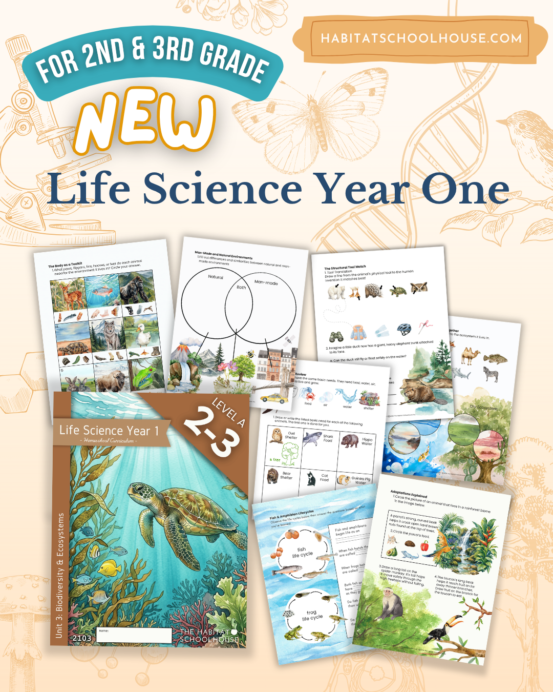 preschool letter  5x4 IG posts (21).png