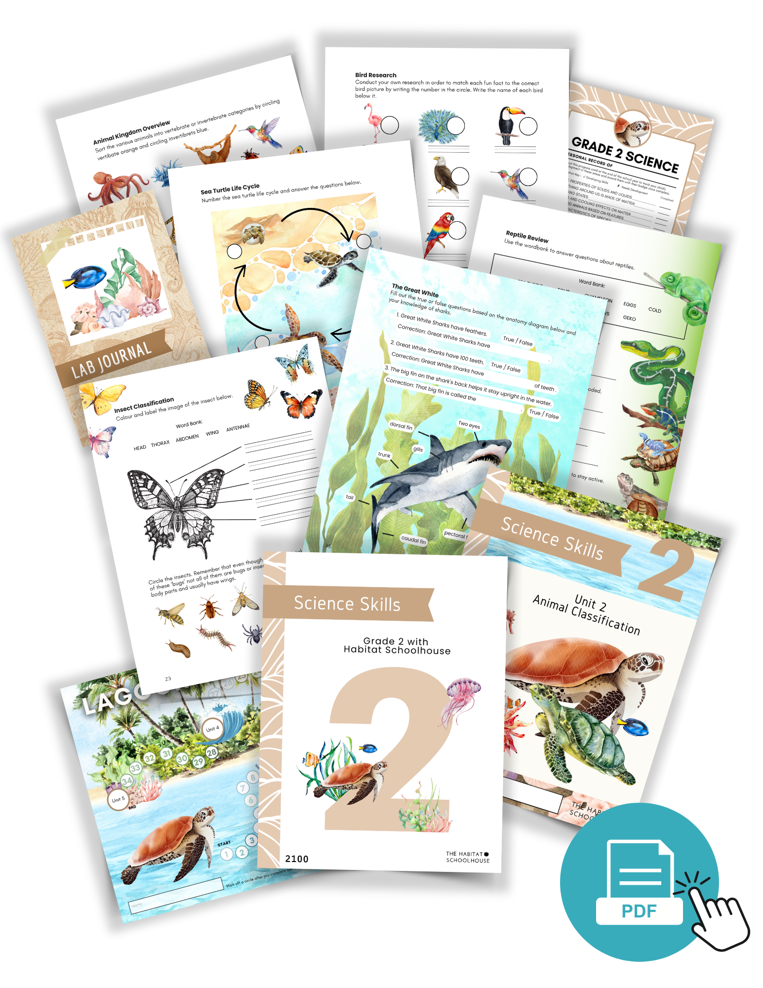 Science Curriculum PDF
