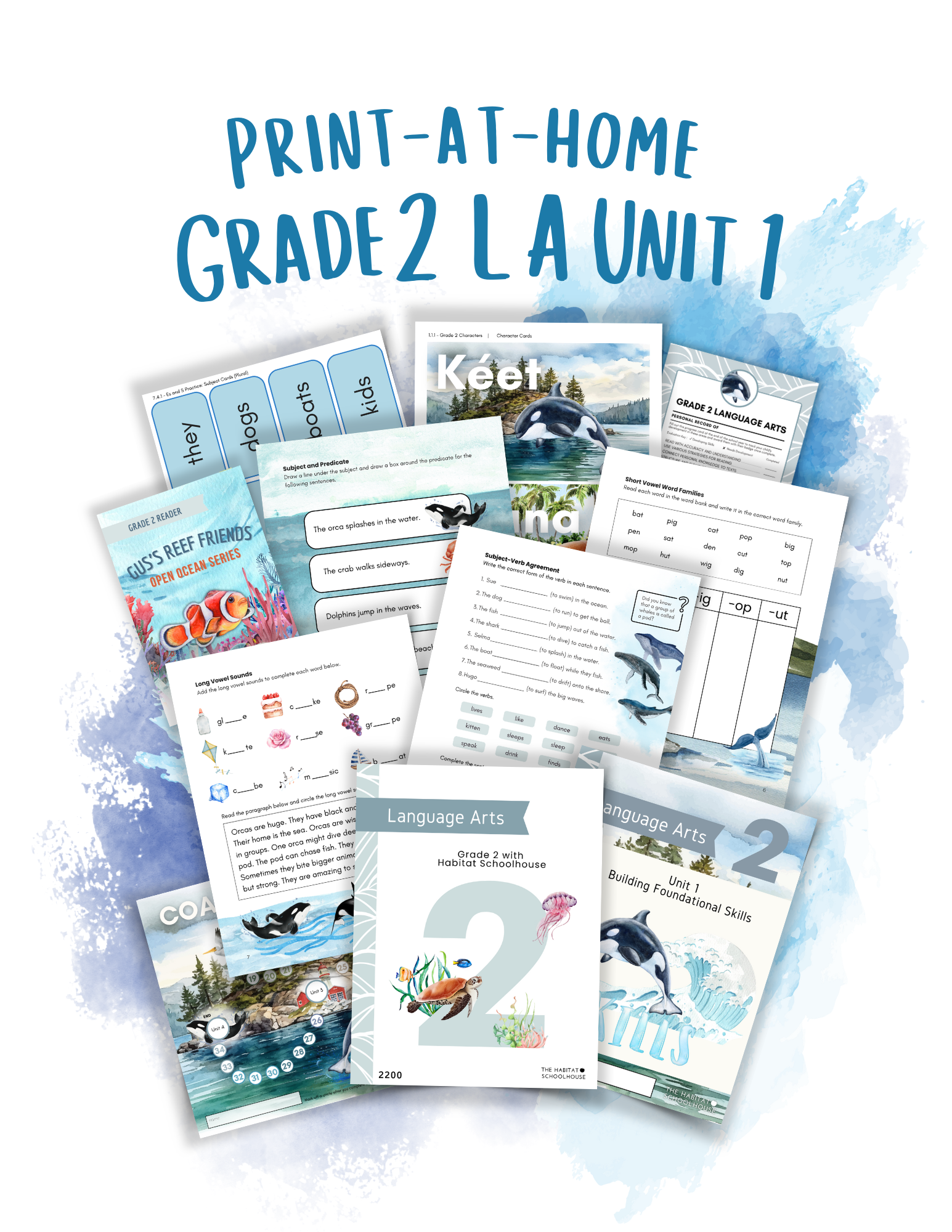 2025 Curriculum & Workbook Graphics.png