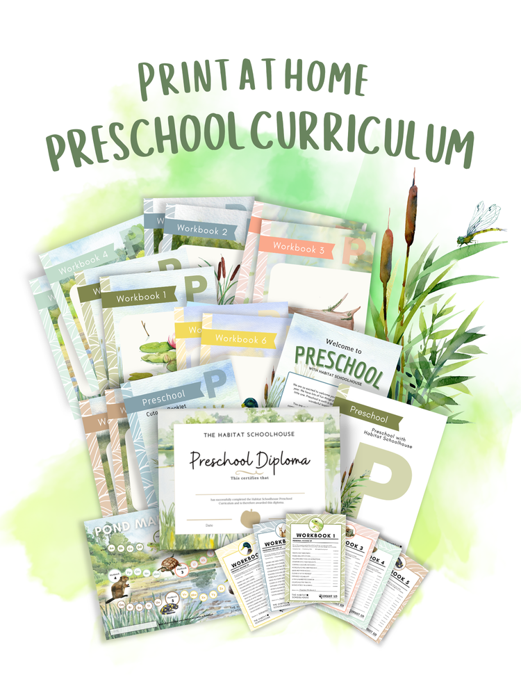 Curriculum+&+Workbook+Graphics+-+preschool.png