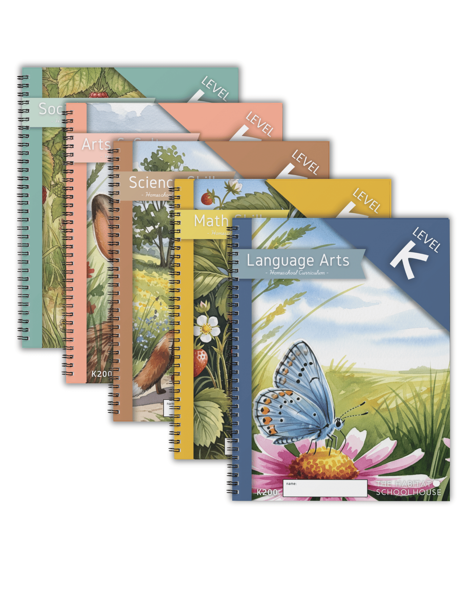 Kindergarten Curriculum