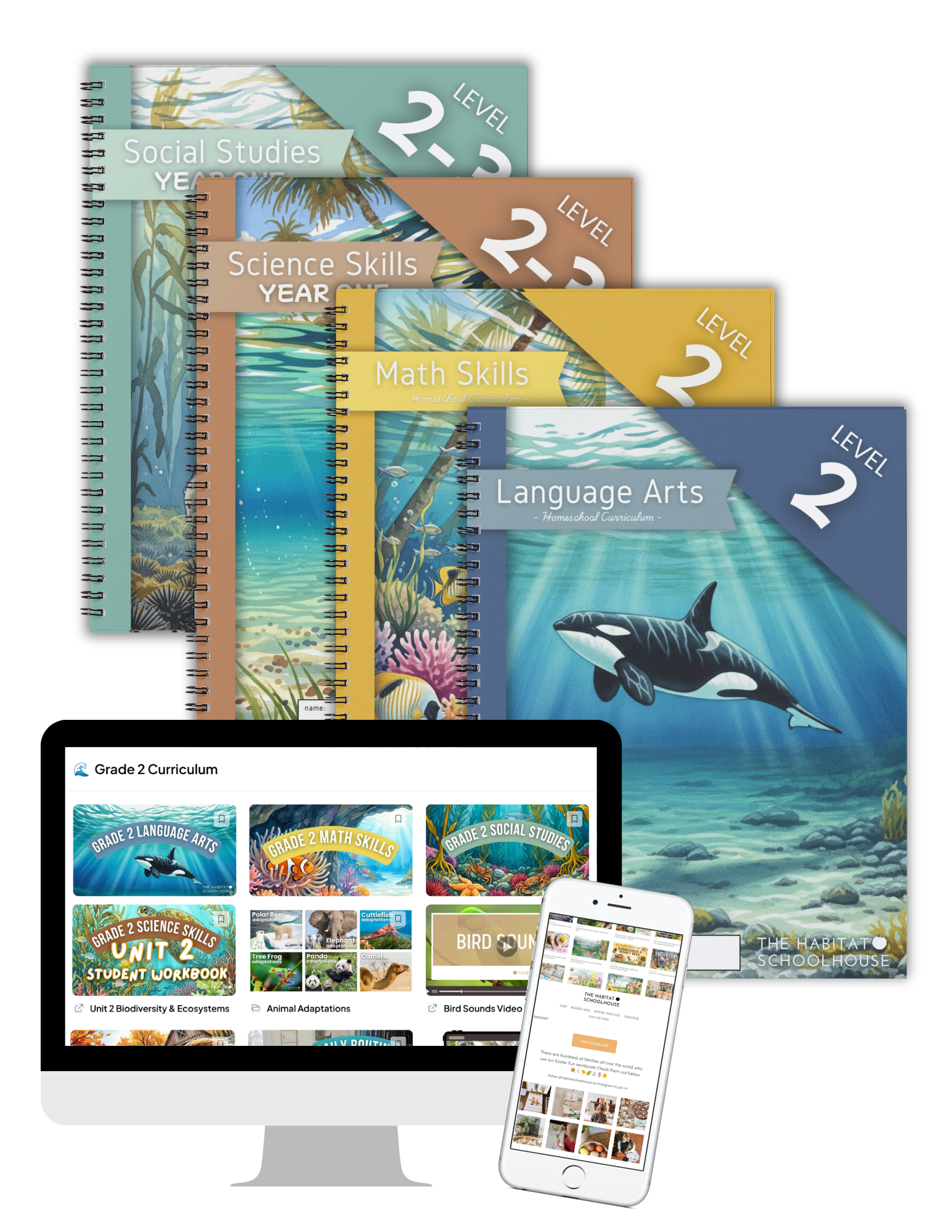 2026 Curriculum & Workbook Graphics (3).png