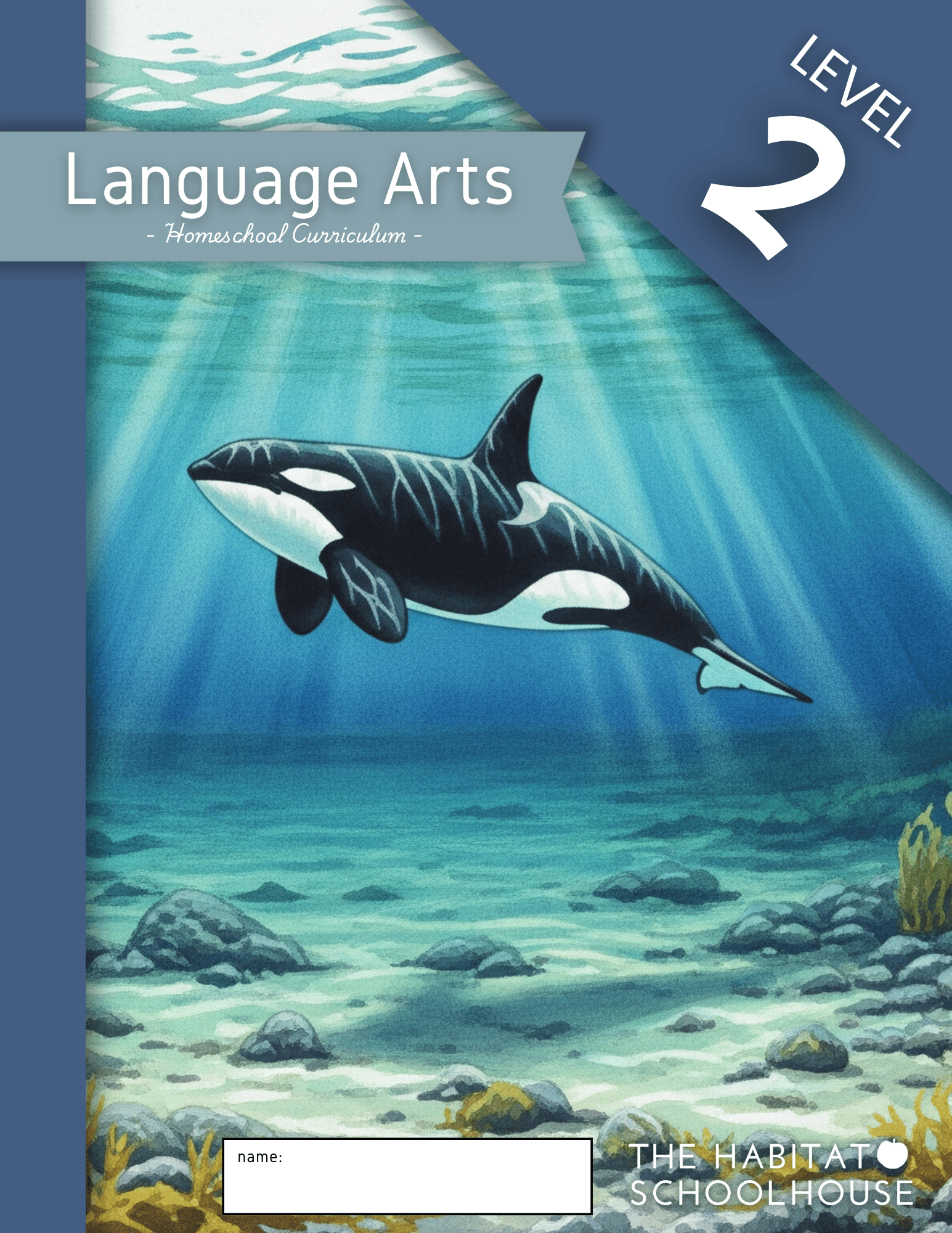 Illustration of an underwater ocean scene with an orca whale swimming above rocks and seaweed, with sunlight filtering through the water.