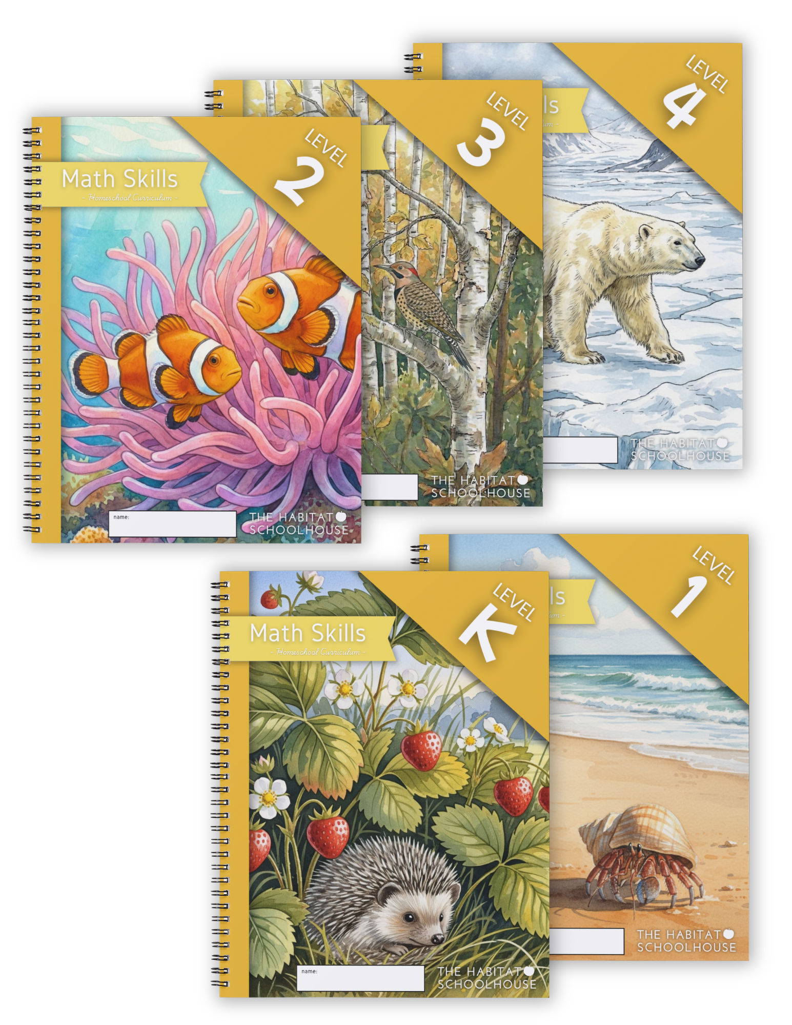 Math Homeschool Curriculum