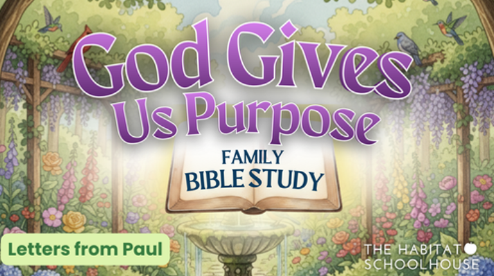 Screenshot 2026-01-18 6.22.23 PM.png