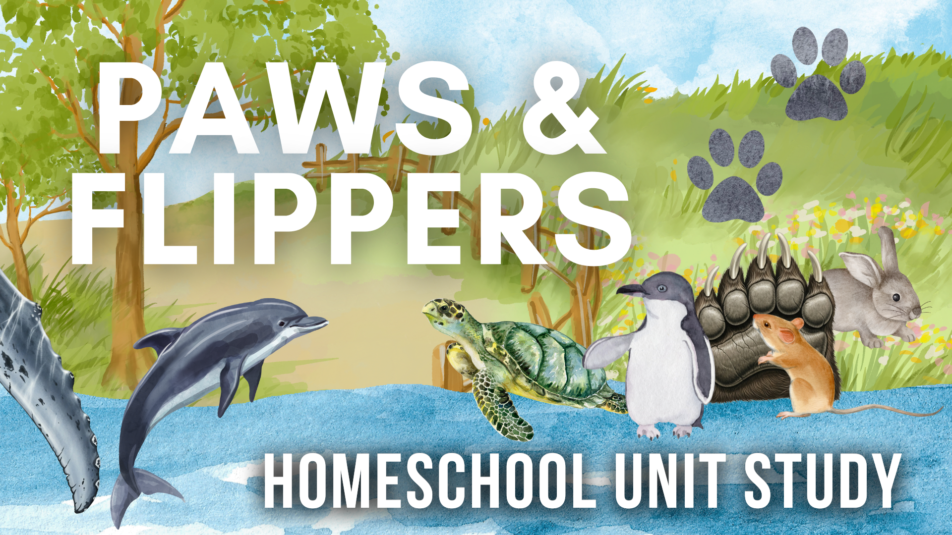 Paws & Flippers: Explore Animal Adaptations with Our Printable ...
