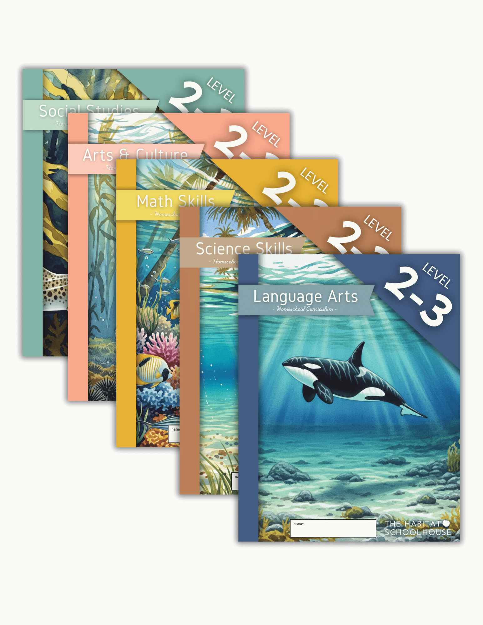 2025 Curriculum & Workbook Graphics (3).png