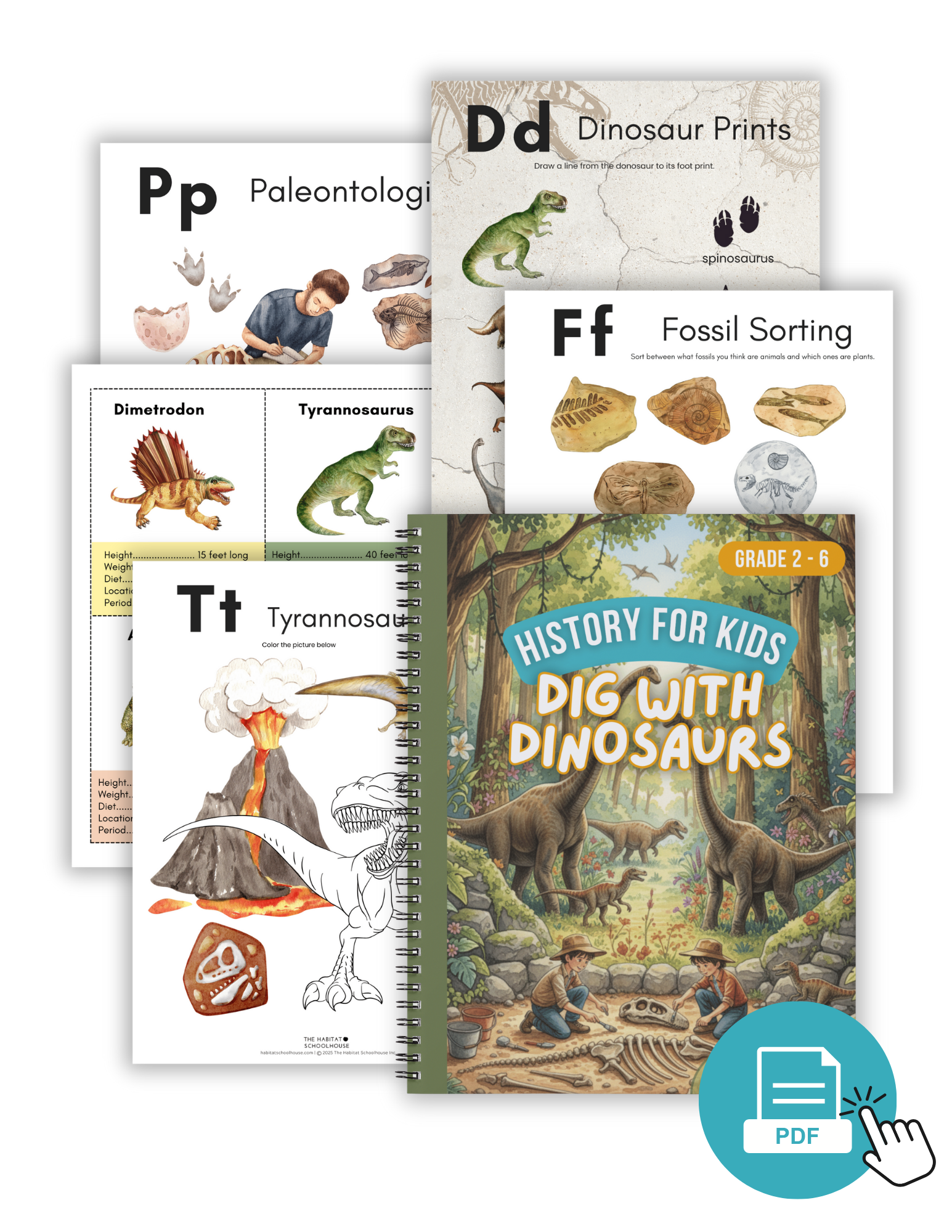 2025 Curriculum & Workbook Graphics (8).png