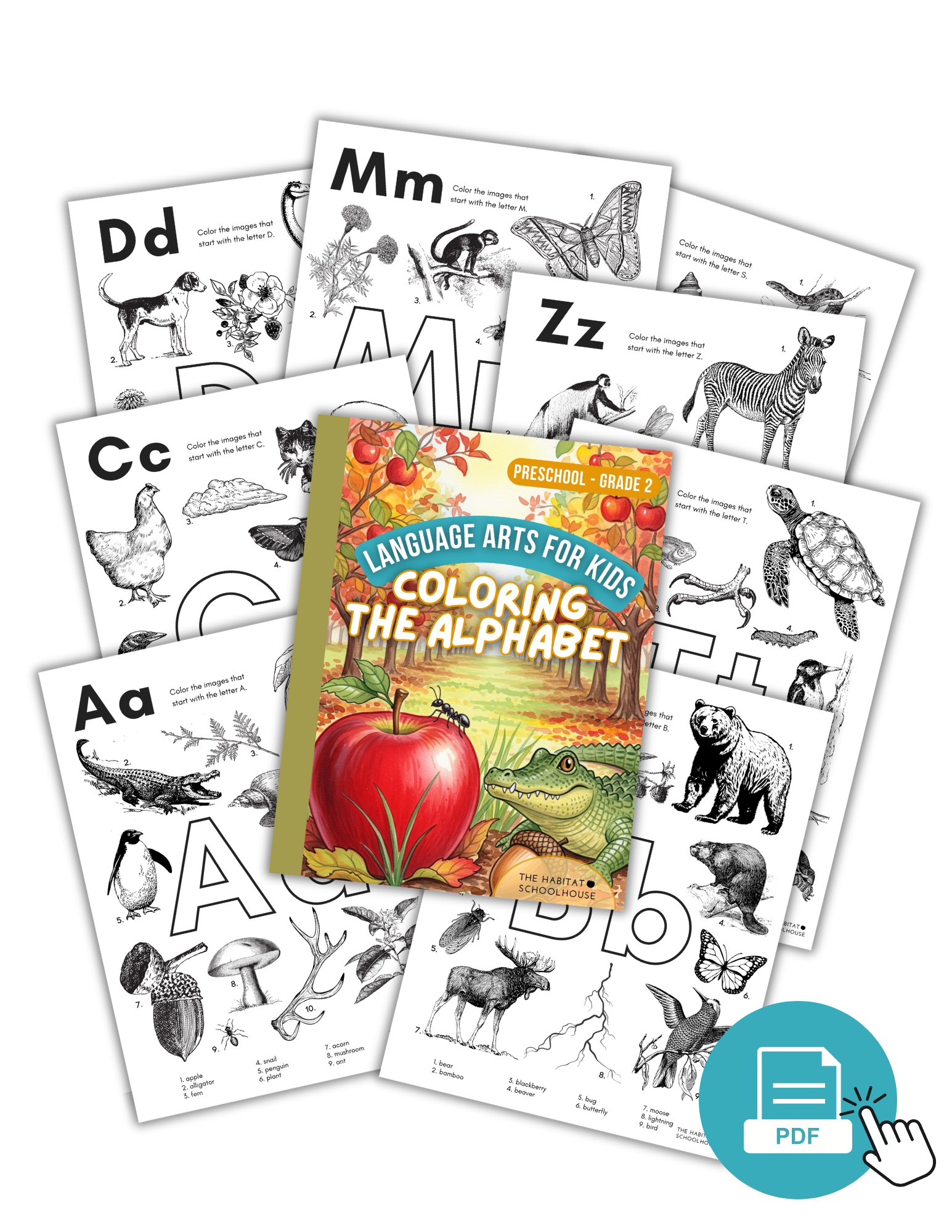 Membership Cover Graphics (4).png