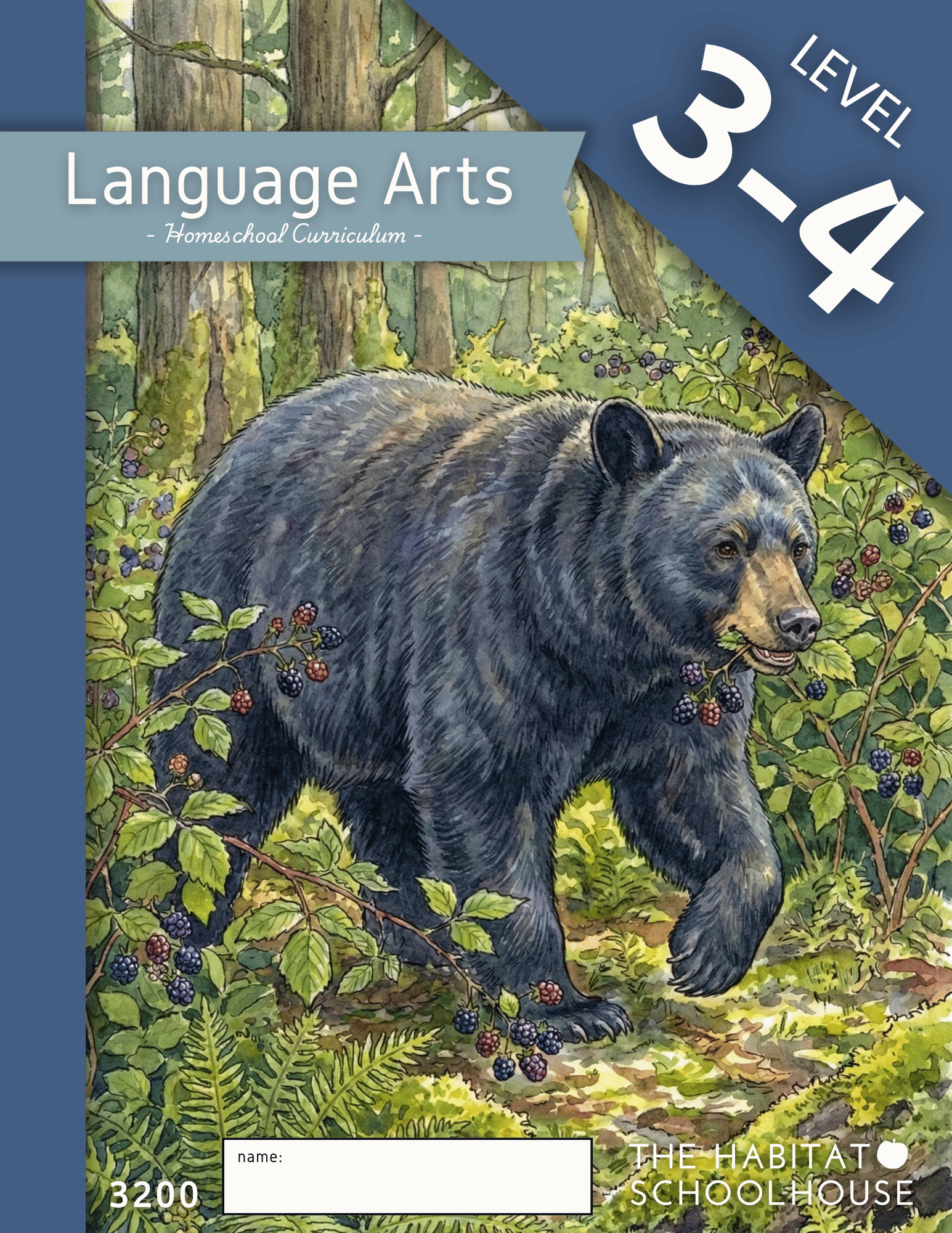 Preschool, Kinder and Grade 1 Subject Covers (3).png