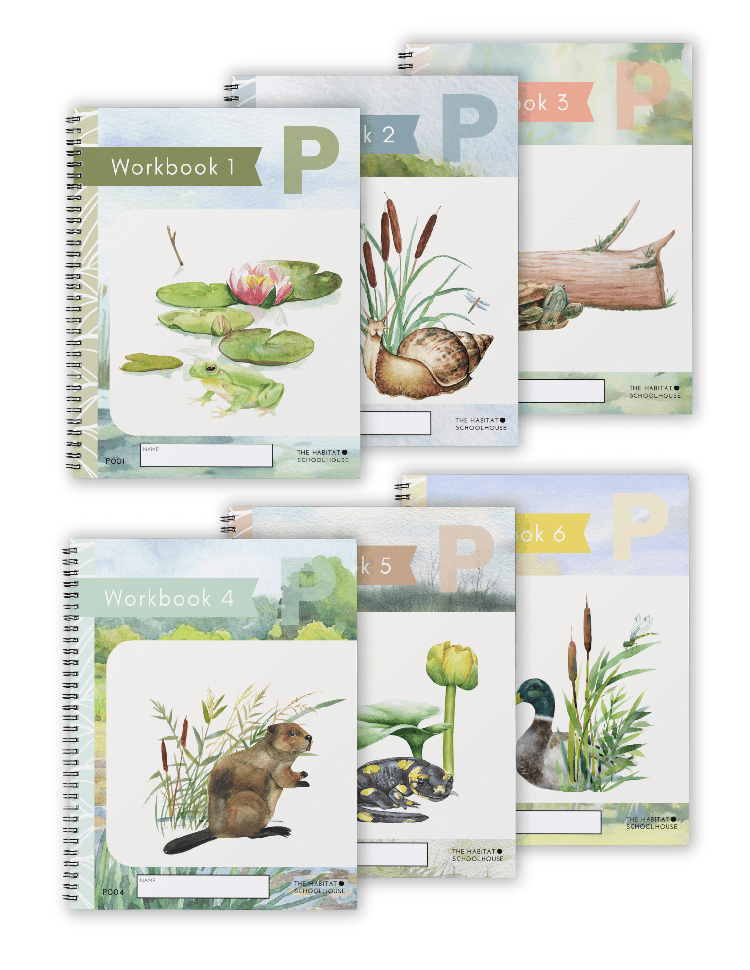 2026 Curriculum & Workbook Graphics (1).png