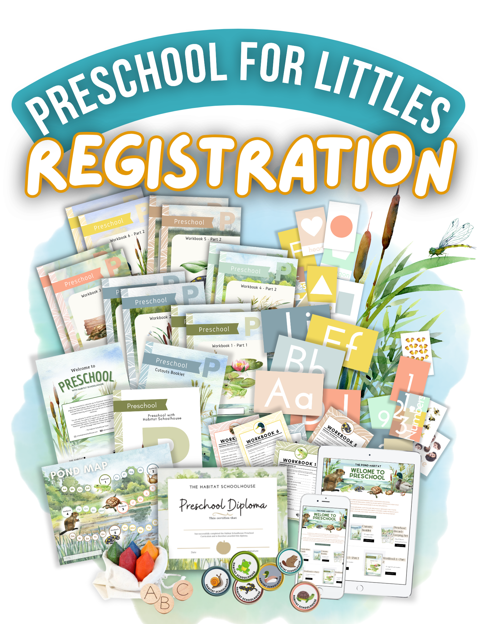 2025 Curriculum & Workbook Graphics (4).png