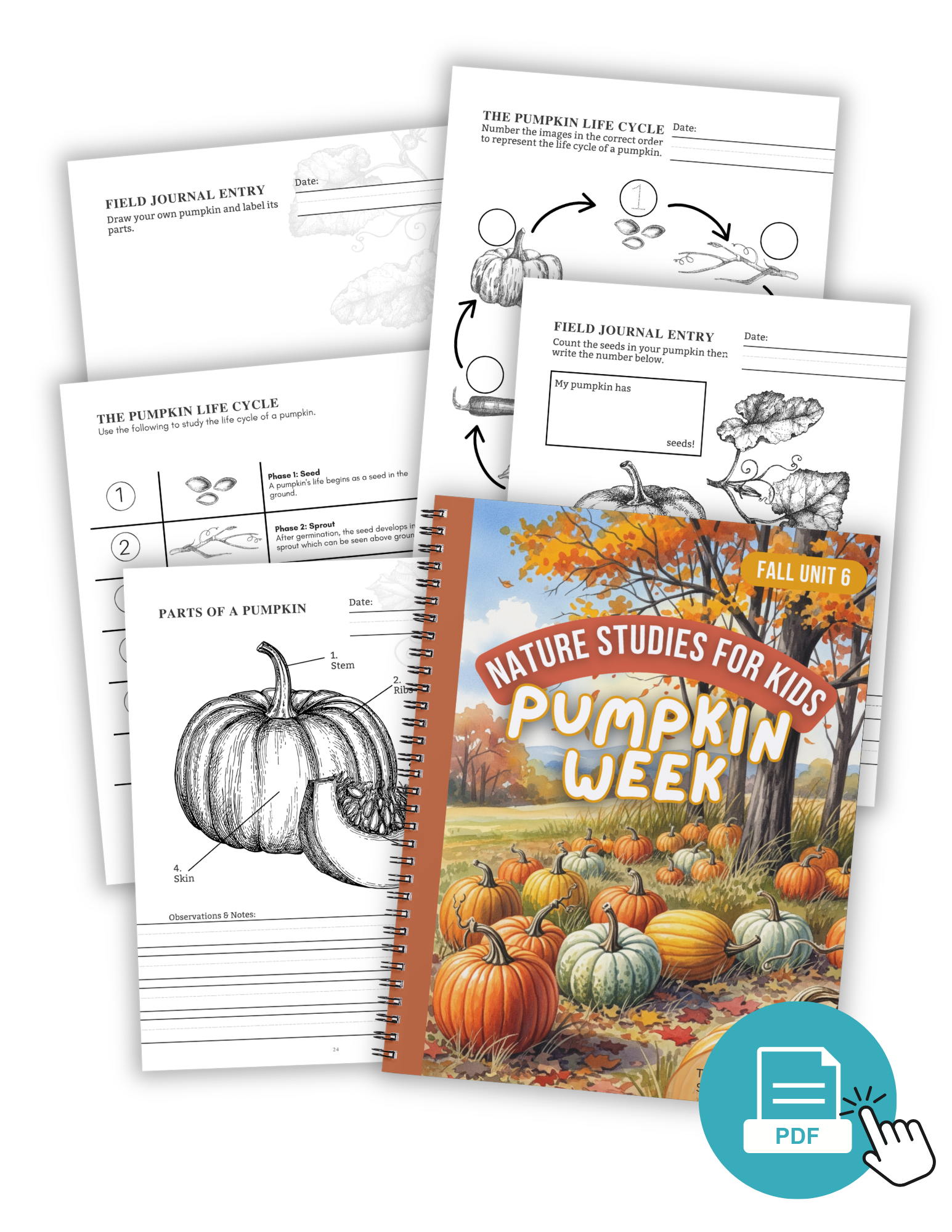 Membership Cover Graphics (30).png