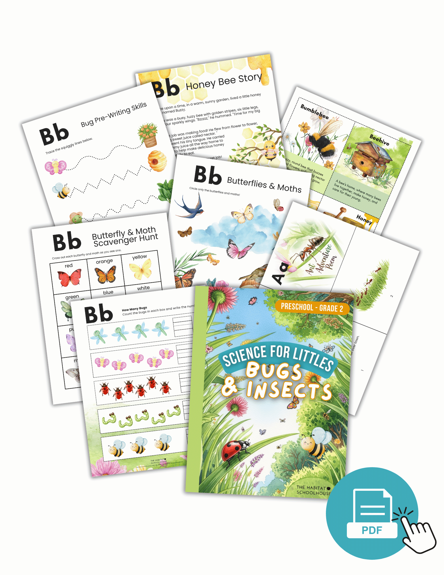 Bugs & Insects for Littles