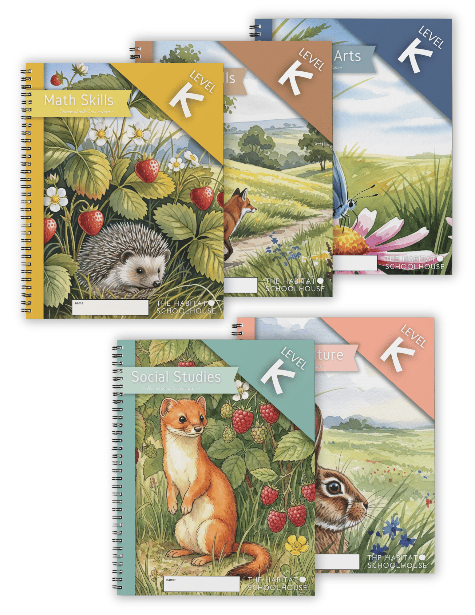 2025 Curriculum & Workbook Graphics (12).png