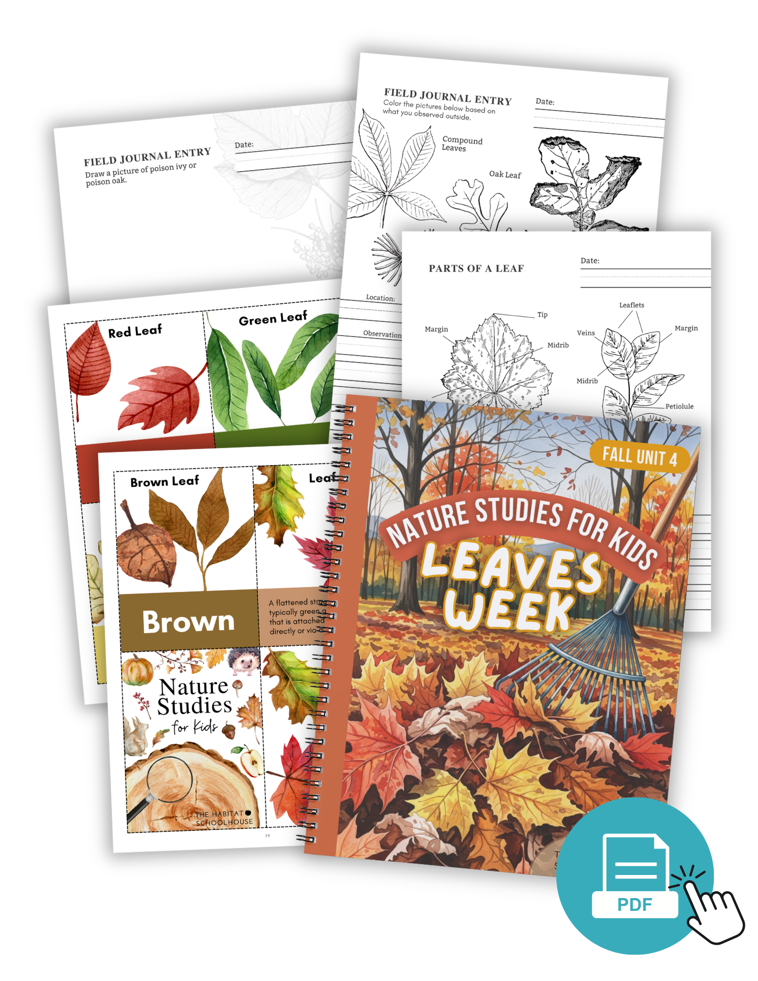 Membership Cover Graphics (9).png