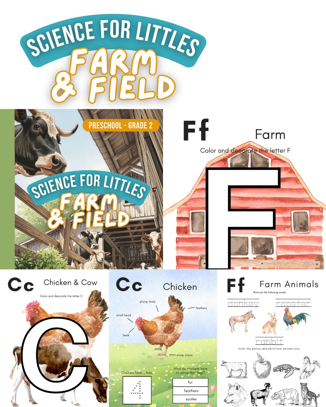 Farm and Field Activity Book