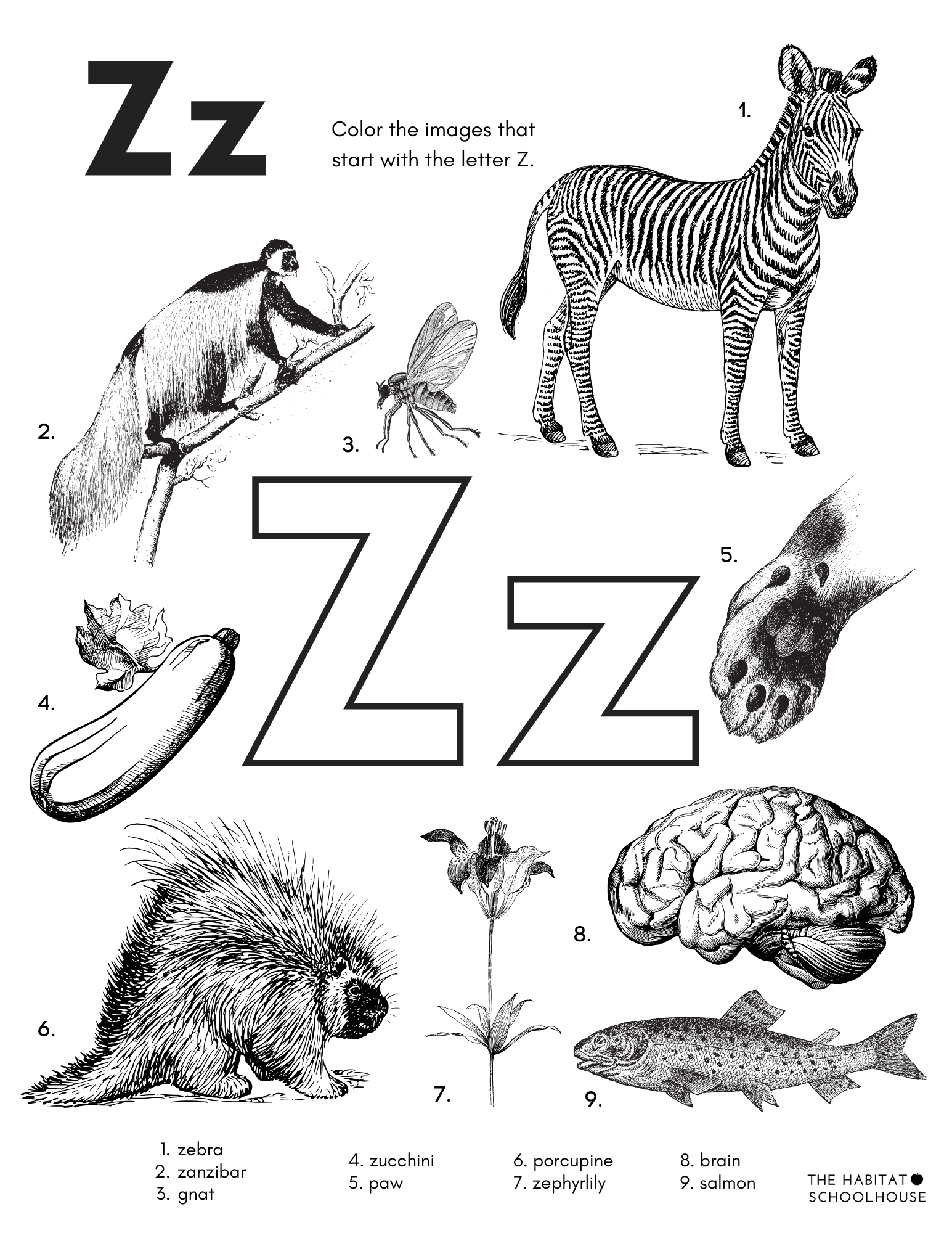 alphabet book 2024 (2).png