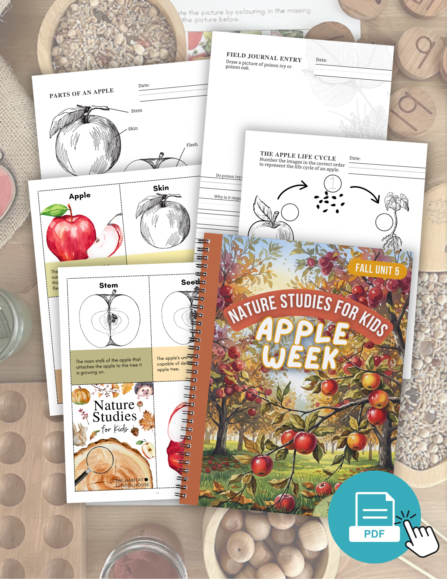 Membership Cover Graphics (11).png