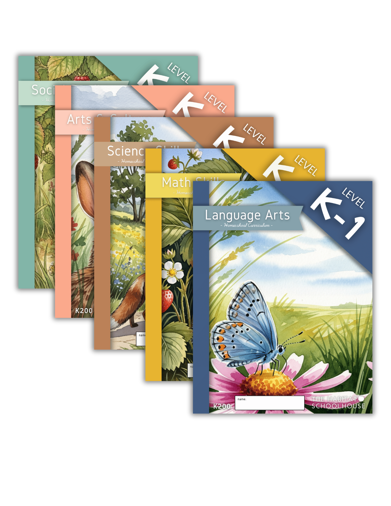 2025 Curriculum & Workbook Graphics.png