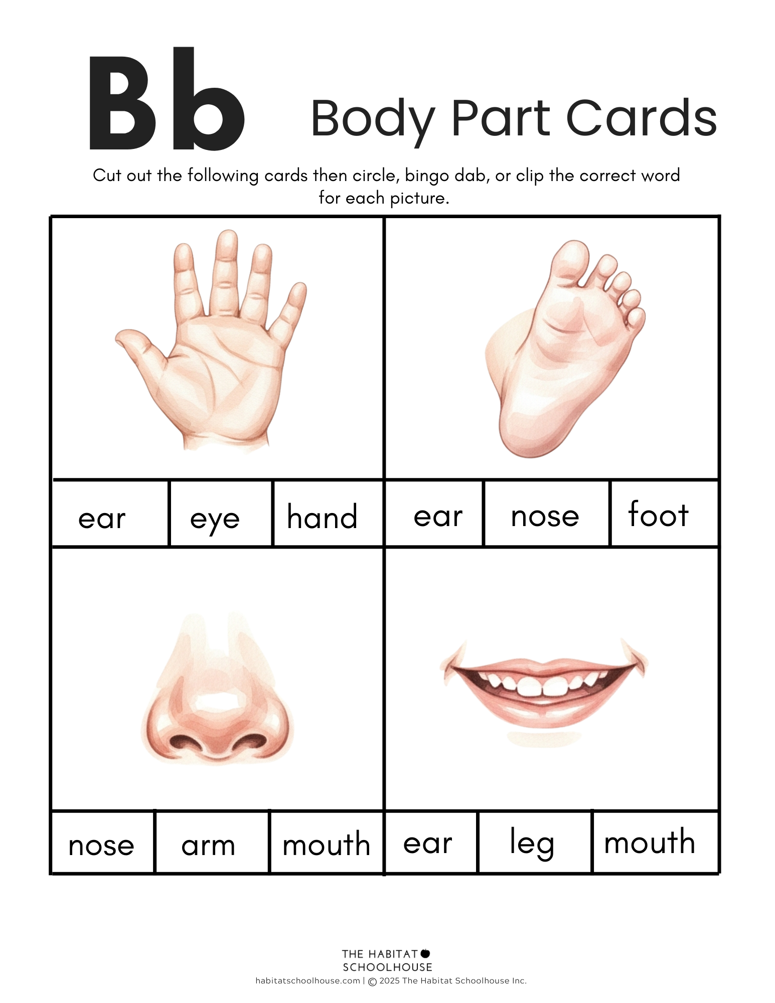 15.png