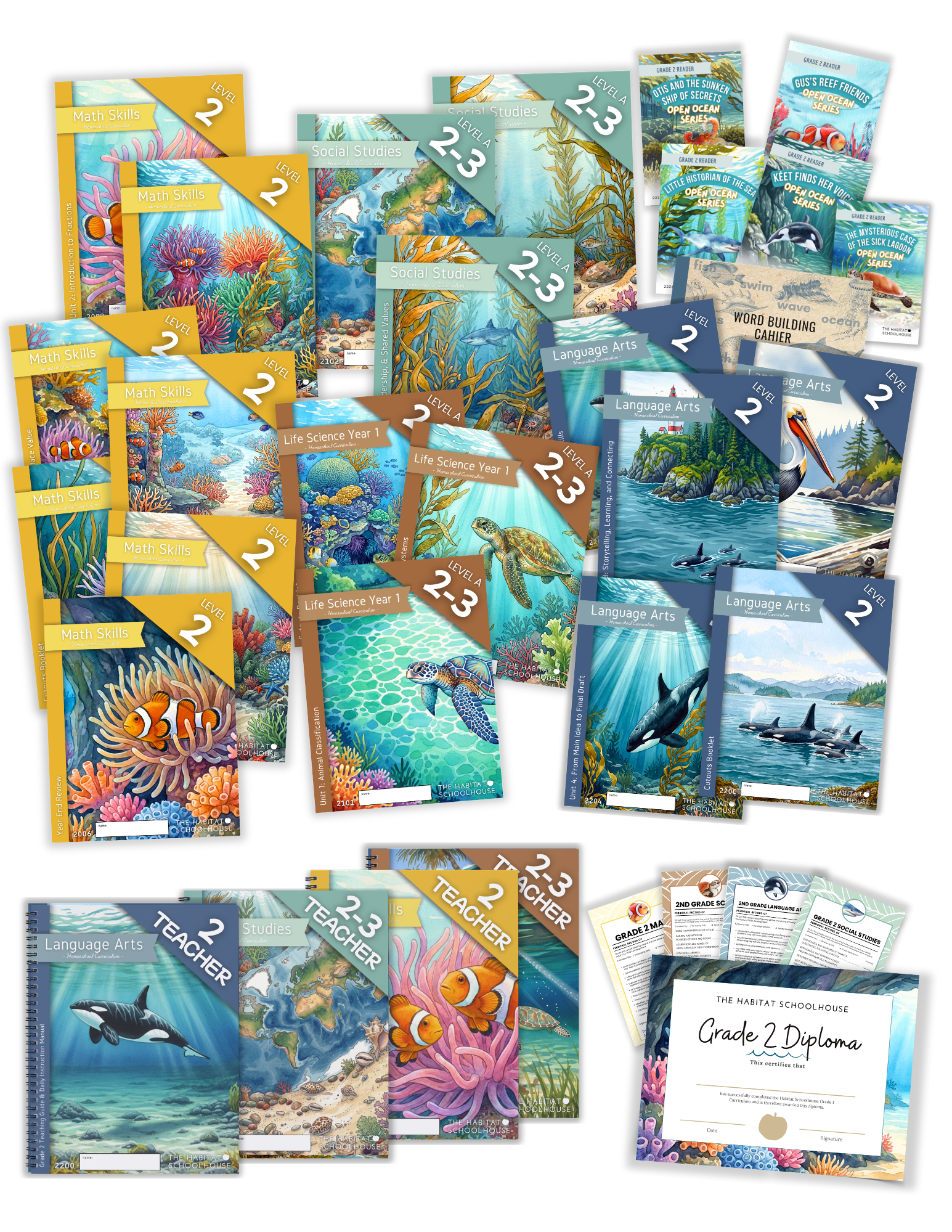 2026 Curriculum & Workbook Graphics (7).png