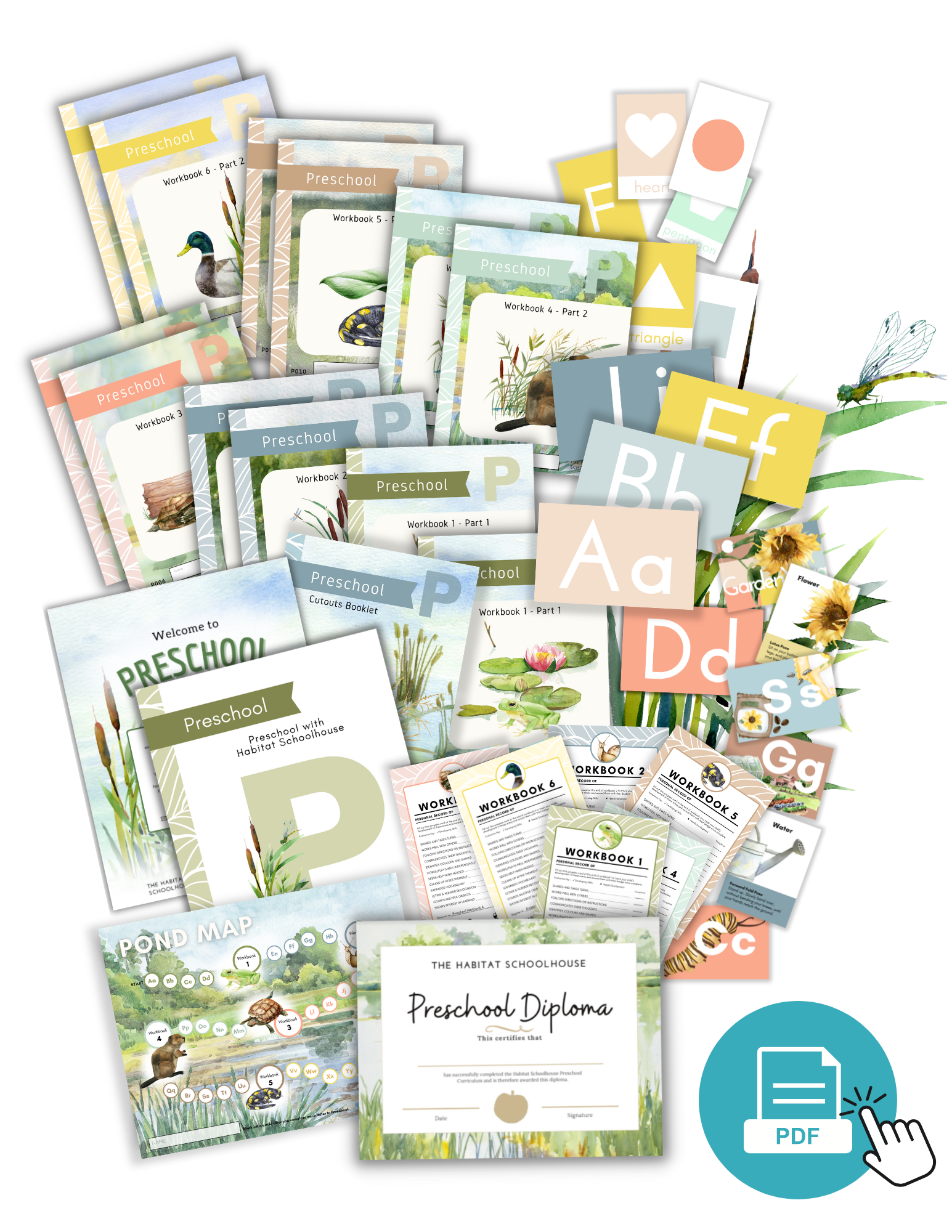2025 Curriculum & Workbook Graphics (11).png