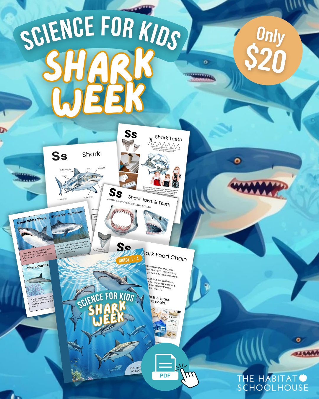 Shark Week Program