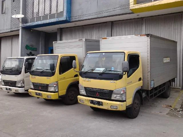 Kellys Express fleet.jpg