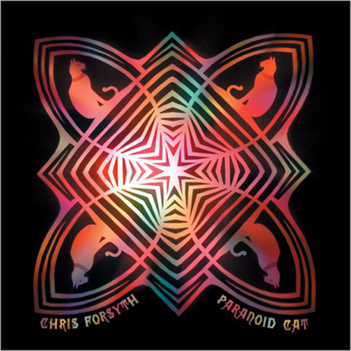 Chris Forsyth - Paranoid Cat LP (Family Vineyard Records) Mixer