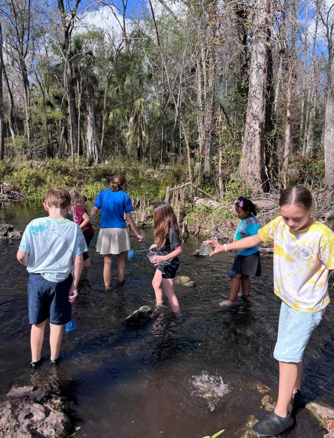 Screen Shot 2026-02-10 at 6.08.05 PM.png