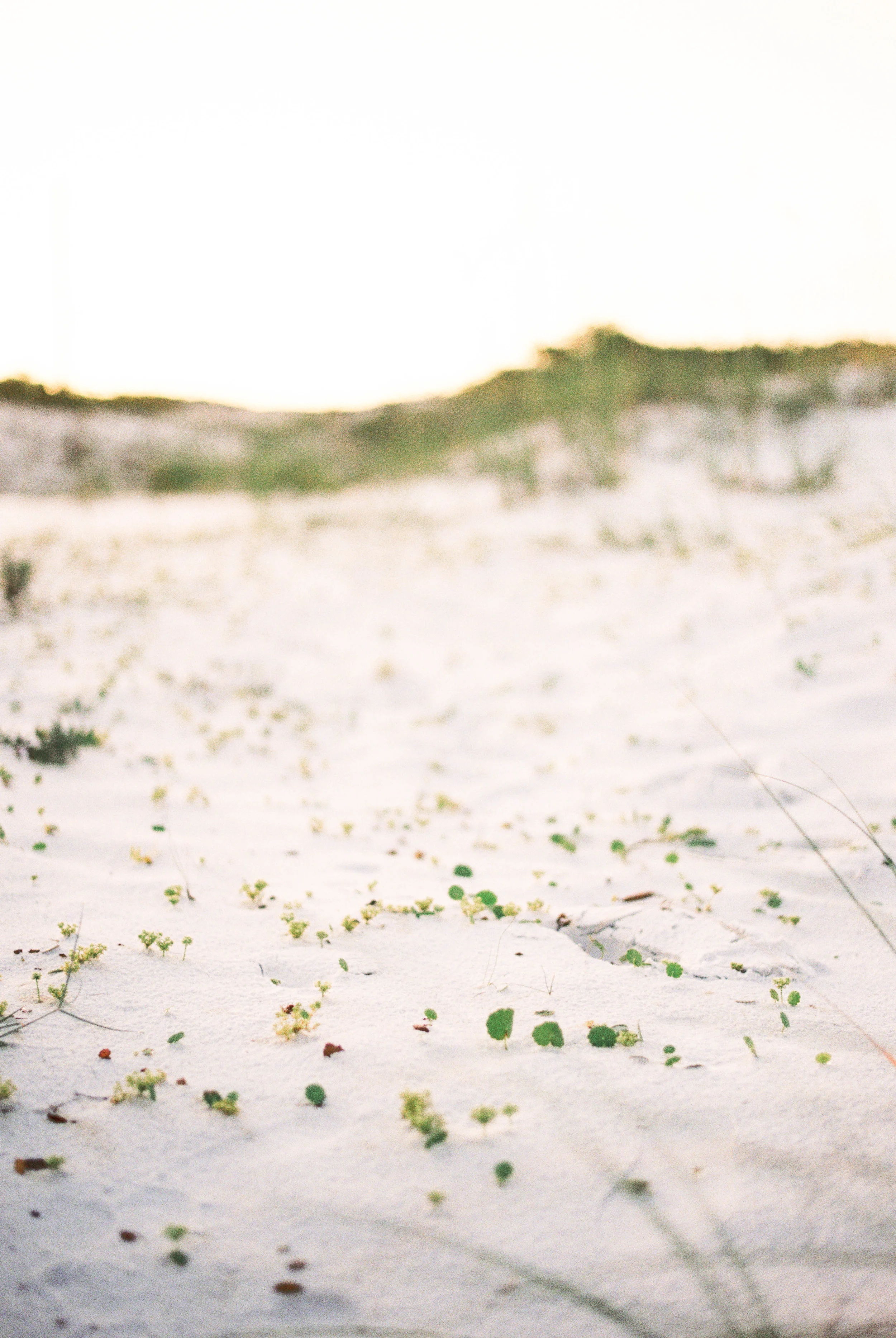 Destin Family Photography R4-2.jpg